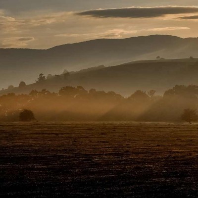 landscape-411712