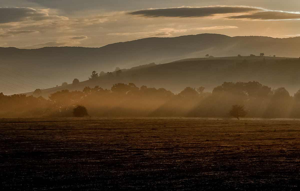 landscape-411712