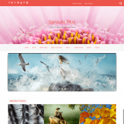 screen
