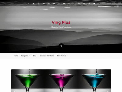 Ving Plus